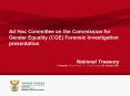 Ad Hoc Committee on the Commission for Gender Equality (CGE) Forensic Investigation presentation PowerPoint PPT Presentation