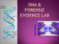 DNA%20 PowerPoint PPT Presentation