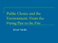 Public Choice and the Environment: From the Frying Pan to the Fire PowerPoint PPT Presentation