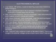 ELECTROCHEMICAL IMPULSE