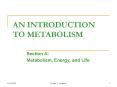 AN INTRODUCTION TO METABOLISM PowerPoint PPT Presentation