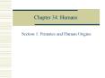 Chapter%2034:%20Humans PowerPoint PPT Presentation