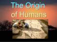 The Origin of Humans PowerPoint PPT Presentation