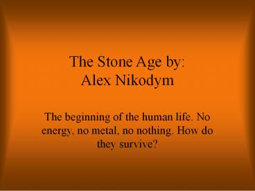 The Stone Age by: Alex Nikodym