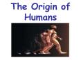 The Origin of Humans PowerPoint PPT Presentation