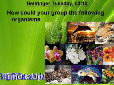 Bellringer Tuesday, 03/15