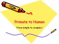 Primate to Human PowerPoint PPT Presentation