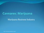 Marijuana Business Industry