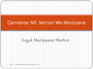 Legal Marijuana Market