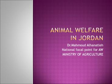 ANIMAL%20WELFARE%20IN%20JORDAN
