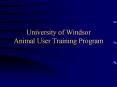 University of Windsor Animal User Training Program PowerPoint PPT Presentation