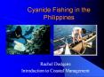 Cyanide Fishing in the Philippines PowerPoint PPT Presentation