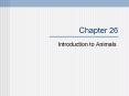 Introduction%20to%20Animals PowerPoint PPT Presentation