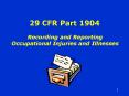 29%20CFR%20Part%201904 PowerPoint PPT Presentation