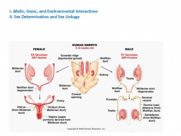 I. Allelic, Genic, and Environmental Interactions