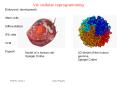 V4: cellular reprogramming PowerPoint PPT Presentation