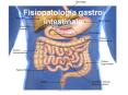 Fisiopatologia gastro intestinale PowerPoint PPT Presentation