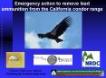 Bombs, Boomboxes, and Biodiversity: PowerPoint PPT Presentation