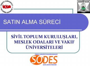 SATIN ALMA S