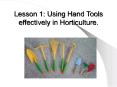 Lesson 1: Using Hand Tools effectively in Horticulture. PowerPoint PPT Presentation