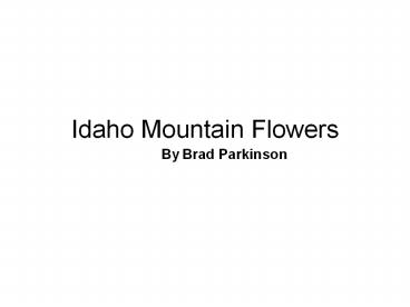 Idaho Mountain Flowers