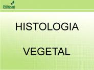 HISTOLOGIA