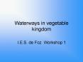 Waterways in vegetable kingdom PowerPoint PPT Presentation