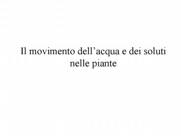 Il movimento dell