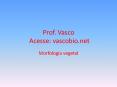 Prof. Vasco Acesse: vascobio.net PowerPoint PPT Presentation
