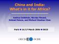 China and India: What PowerPoint PPT Presentation