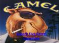 Superb Five Camel Cigarettes PowerPoint PPT Presentation