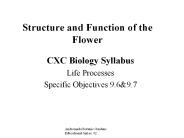Structure%20and%20Function%20of%20the%20Flower