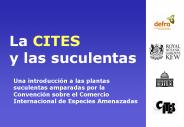 La CITES y las suculentas