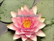 Alisha Weeks Ryan Johnson Erica Thomas