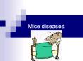 Mice diseases PowerPoint PPT Presentation
