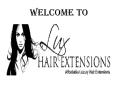 Lux-HairExtensions PowerPoint PPT Presentation