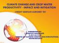 CLIMATE CHANGE AND CROP WATER PRODUCTIVITY - IMPACT AND MITIGATION PowerPoint PPT Presentation