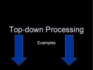Top-down Processing