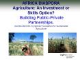 AFRICA DIASPORA Agriculture: An Investment or Skills Option? Building Public-Private Partnerships. Andrew Bennett- Syngenta Foundation for Sustainable Agriculture PowerPoint PPT Presentation