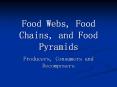 Food Webs, Food Chains, and Food Pyramids PowerPoint PPT Presentation