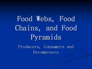 Food Webs, Food Chains, and Food Pyramids