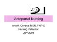 Antepartal Nursing PowerPoint PPT Presentation