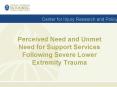 Perceived Need and Unmet Need for Support Services Following Severe Lower Extremity Trauma PowerPoint PPT Presentation