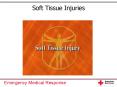 Soft Tissue Injuries PowerPoint PPT Presentation