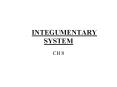 INTEGUMENTARY SYSTEM PowerPoint PPT Presentation