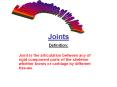 Joints PowerPoint PPT Presentation