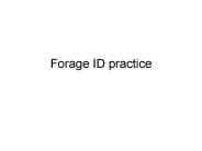 Forage ID practice