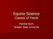 Equine Science Classes of Feeds