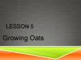 Growing Oats PowerPoint PPT Presentation