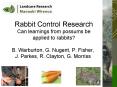 Rabbit Control Research Can learnings from possums be applied to rabbits? PowerPoint PPT Presentation